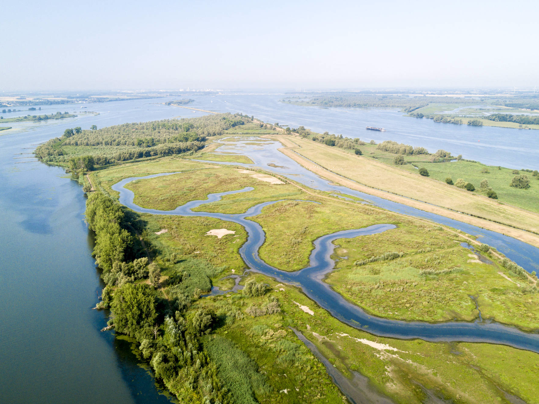 drone foto biesbosch staatsbosbeheer luchtfotografie niels van tongerloo