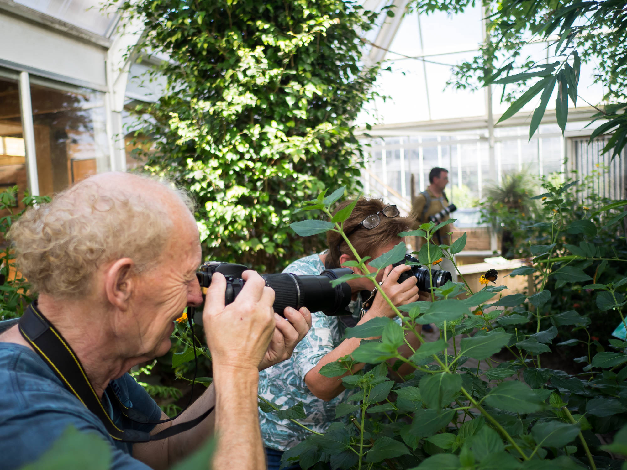 niels van tongerloo fotografie workshop